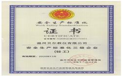 安全生產(chǎn)標準化